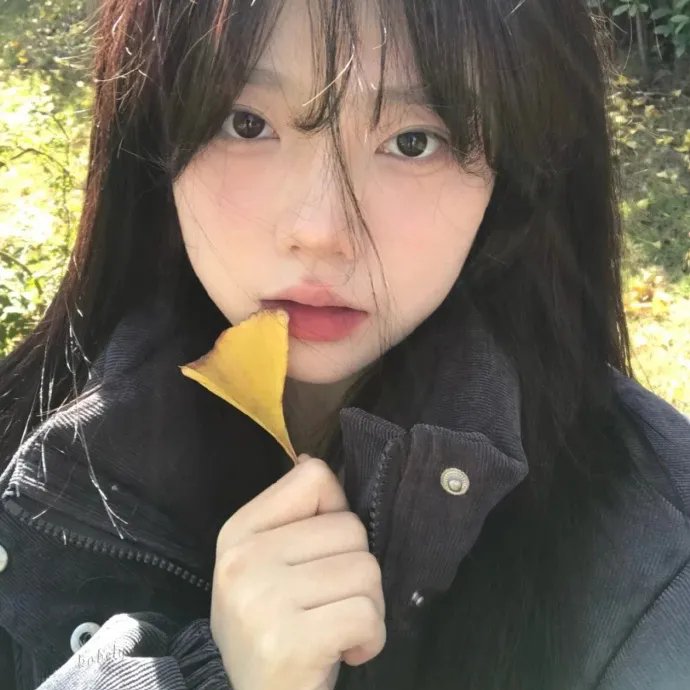 红雀特工