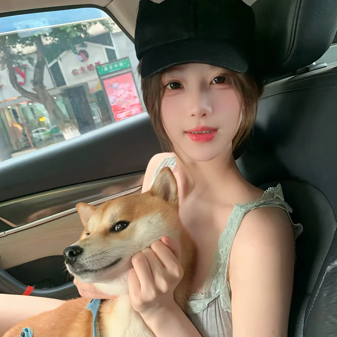 真假王爷